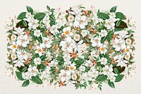 Jasmine flower, Spring floral collage art