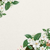 Jasmine flower border background, beige textured design
