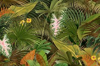 Tropical palm trees background, leaf illustration