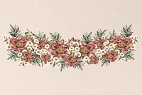 Feminine pink flower divider, vintage botanical illustration