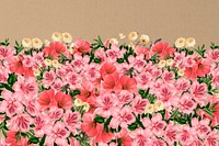 Spring azalea flowers background, pink botanical border 