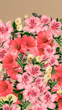 Spring azalea flowers phone wallpaper, pink botanical border background