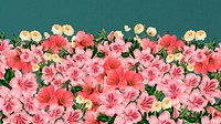 Spring azalea flowers computer wallpaper, pink botanical border background