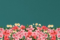 Green azalea flowers background, pink botanical border