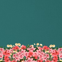 Green azalea flowers background, pink botanical border