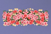 Chinese quince flower divider, pink floral illustration