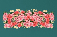 Chinese quince flower divider, pink floral illustration