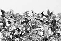 Wild roses background, black and white illustration