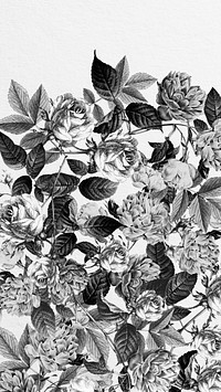 Wild roses iPhone wallpaper, black and white illustration
