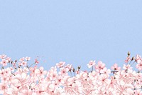 Japanese Sakura flower background, pink botanical illustration