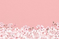 Japanese Sakura flower background, pink botanical illustration