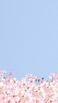 Japanese sakura flower iPhone wallpaper, pink botanical background