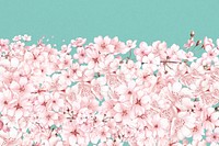 Japanese Sakura flower background, pink botanical illustration