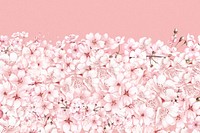 Japanese Sakura flower background, pink botanical illustration