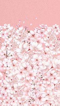 Japanese sakura flower iPhone wallpaper, pink botanical background