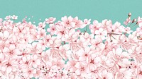 Japanese sakura flower desktop wallpaper, pink botanical background