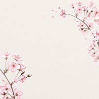 Japanese cherry blossom background, pink flowers illustration