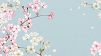 Japanese cherry blossom HD wallpaper, pink flowers background