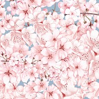 Spring cherry blossom flower pattern, pink botanical illustration