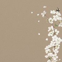 Amarena cherry flower background, Spring border 