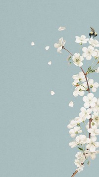 Amarena cherry flower phone wallpaper, Spring border background