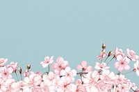 Japanese cherry blossom background, pink flowers illustration