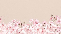 Japanese cherry blossom HD wallpaper, pink flowers background