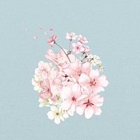 Japanese cherry blossom flower, botanical illustration