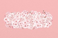 Cherry blossom flower divider, Japanese botanical  illustration