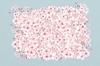 Japanese cherry blossom, botanical collage art