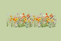 Spring wildflower divider, aesthetic botanical illustration