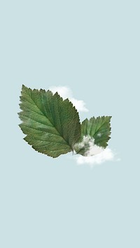 Clouded leaf  mobile wallpaper collage. Remixed by rawpixel.