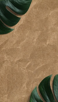 Crumpled paper texture mobile wallpaper, monstera leaf border