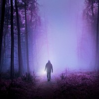 Man in forest, purple background design