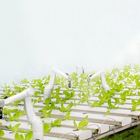 Robotic farming, smart agriculture image with copy space