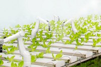Robotic farming, smart agriculture design