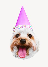 White dog with party hat image on white