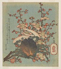 Benkei crab and plum blossom. Shikishiban format, surimono print by Yashima Gakutei with poems signed Bunbunsha. Printed in Japan, c.1823. Chester Beatty Library.