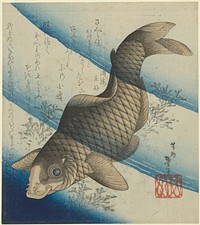 Carp swimming among waterweeds. Surimono by Katsushika Taito II. Japan, probably 1832. Chester Beatty Library