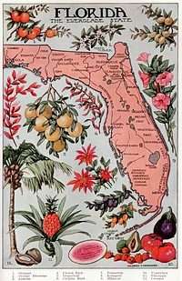  This illustration is from the public domain book "The Home and School Reference Work" Volume III by The Home and School Education Society, H. M. Dixon, President and Managing Editor. The book was published in 1917 by The Home and School Education Society.This copyright free illustration of the state of florida includes a map, palm tree, fruit and flowers. It appears between pages 1046 and 1047.