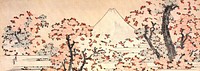 Mount Fuji seen throught cherry blossom
