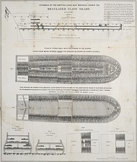 Stowage of the British slave ship Brookes under the regulated slave trade act of 1788.