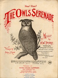 "The Owls Serenade", 1894 sheet music cover. Sheet music published by Petrie Music Co, Chicago