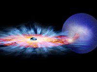 This is an artist's representation of GRO J1655-40, a binary star system observed in April 2005 by Chandra. This binary consists of a black hole and a normal star shown in blue. Gas is being pulled away from the star and falling onto a red disk spinning around the black hole. Some of this gas spirals in towards the black hole, generating copious amounts of light along the way. This infall of matter is only possible if the gas loses some of its energy either through a wind, shown in blue, or friction in the disk.