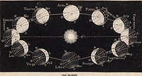 Identifier: elementsofastro00broc (find matches)Title: Elements of astronomy ... with explanatory notes, and questions for examinationYear: 1855 (1850s)Authors: Brocklesby, John, 1811-1889Subjects: AstronomyPublisher: New York, Farmer, Brace & co.Contributing Library: The Library of CongressDigitizing Sponsor: The Library of CongressView Book Page: Book ViewerAbout This Book: Catalog EntryView All Images: All Images From BookClick here to view book online to see this illustration in context in a browseable online version of this book.Text Appearing Before Image:cs near the poles the arctic41 (northern) and 1. The axis of the earth is at right angles (90°) with the plane of theequator. The plane of the ecliptic being inclined to that of the equator abouttwenty-three and one half degrees, it must therefore be inclined to the axisabout sixty-six and one half, degrees since sixty-six and one half added totwenty-three and one half equals ninety. 2. Precession and nutation will of course produce a very slightdisplacement. 3. The figure is here drawn as if the plane of the ecliptic was viewedobliquely, the orbit of the earth therefore, appears more eccentric than itactually is. 4. Arctic (northern.) From the Greek word, arktos meaning bear,because the north pole of the heavens is in the constellation called the bear. What is the extent of the inclination of the earths axis to the ecliptic 1 Explain whythe earths axis is directed to the name points in the heavens notwithstanding the earthrevolves about the sun ? Explain the figure. THE SEASONS. 117Text Appearing After Image:118 THE EARTH VIEWED ASTRONOMICALLY. antarctic1, (southern) or polar circles. The lines drawnin each globe from C, parallel to CSlC, indicate the posi-tion of the plane of the ecliptic with respect to that of theequator. 201. Spring. At the vernal equinox, (March,) whenthe earth is in Libra,2 the circle of illumination extends tothe two poles,3 the sun is in the plane of the equator, andis seen from the earth in this plane. As the earth rotateson its axis every point upon its surface is then half thetime of one rotation in darkness, and the other half inlight. In this position of the earth, the days and nightsare therefore equal all over the globe. 202. Summer. When the earth is in Capricorn at thenorthern summer solstice*, (June,) the axis being un-changed in direction, the north pole is presented towardsthe sun, and the circle of illumination extends beyond thepole N to the arctic (northern) circle, while in the south-ern hemisphere it falls short of the south pole S, reachingonly tNote About ImagesPlease note that these images are extracted from scanned page images that may have been digitally enhanced for readability - coloration and appearance of these illustrations may not perfectly resemble the original work.