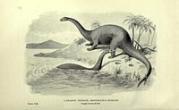 Extinct monsters and creatures of other days: a popular account of some of the larger forms of ancient animal life, by Rev. H. N. Hutchinson. With illustrations by J. Smit, Alice B. Woodward, J. Green, Charles Knight, and others.