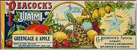 A can label for Peacock's greengage and apple jam. Shows illustrations of various fruits including strawberries, raspberries, peaches, gooseberries and cherries. In the centre, a peacock stands perched on a brach with an ornamental fountain behind it. At the right is the Star trademark and logo: "They that shine shall be wise". Peacock's factory locations are given: Hobart, Sydney, Melbourne, Brisbane and Dunedin.Quantity: 1 colour photo-mechanical print(s) on label.Physical Description: Chromolithograph on label, 105 x 300 mm (sight)Provenance: Purchased from Soucheby's Antiques, Petone, in 2004.George Peacock (Firm). G Peacock (Firm, Dunedin) :Peacock's jam, Greengage & apple. Made in New Zealand, solderless sanitary safe can. Contents not less than 28 ozs net. [ca 1890-1920].. Ref: Eph-C-FOOD-1900s-05. Alexander Turnbull Library, Wellington, New Zealand. natlib.govt.nz/records/22810624