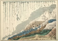 Physical Geography. chart comparing lengths of selected rivers and heights of selected mountains, from General Atlas Of The World: Containing Upwards Of Seventy Maps. Engraved On Steel, In The First Style Of Art, By Sidney Hall, William Hughes, F.R.G.S., &c. New Edition. Embracing All The Latest Discoveries Obtained From Government Surveys And Expeditions, Books Of Recent Travel, And Other Sources, Including The North-West Passage Discovered By H.M. Ship Investigator. With Introductory Chapters On The Geography And Statistics Of The Various Countries Of The World, And A Complete Index Of 65,000 Names. Edinburgh: Adam And Charles Black, North Bridge. M.DCCC.LIV. by Adam & Charles Black, Sidney Hall and William Hughes, 1854; published in Edinburgh by A & C Black.