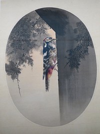 Great Spotted Woodpecker on Japanese Cypress by Watanabe Seitei (Watanabe Shotei), c. 1906, color on silk, Tokyo National Museum