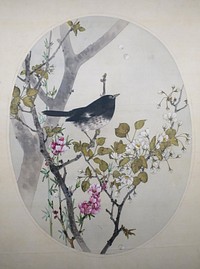 Japanese Thrush with Flowering Quince and Wild Cherry by Watanabe Seitei (Watanabe Shotei), c. 1906, color on silk, Tokyo National Museum